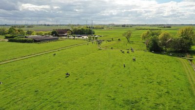 Hof und angrenzende Weide