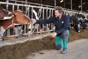 Landwirt Graff im Stall mit seinen Kühen