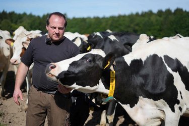 Landwirt Stefan Struben bei seinen Tieren