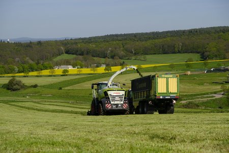 Das Gras wird nach dem Mähen über ein Rohr auf einen zweiten Wagen gefördert