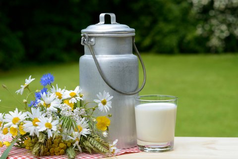 Wiesenblumen mit Milchkanne und einem Milchglas