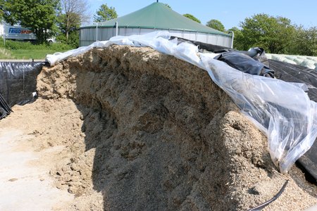 Silage im Silo