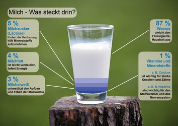 Grafik zur Kuhmilch und ihren Inhaltsstoffen